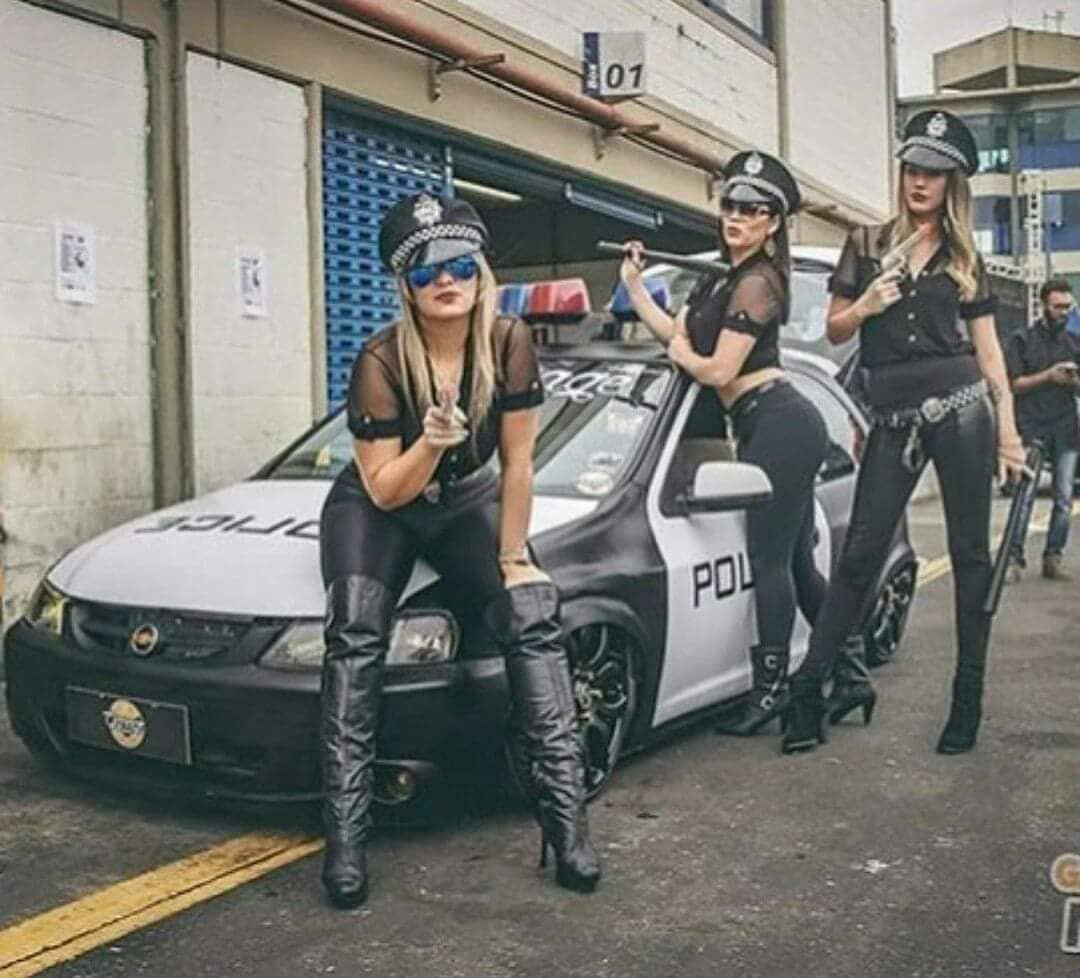 Gatas e naves brasileiras #zCIsulaz