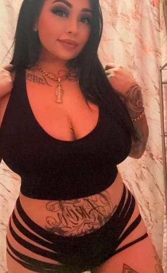 21 year old Latina Stormy escort in WEST HOLLYWOOD ca #t9znf7V6
